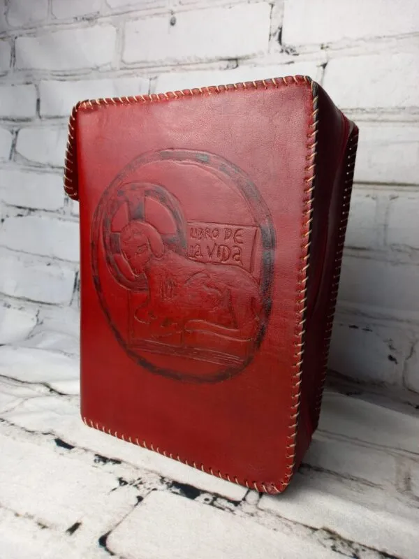 Funda de Biblia Comunidad mod.3