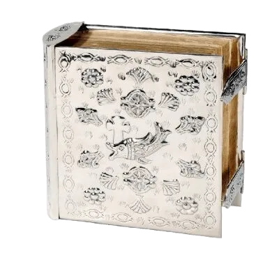 Biblia Pez Comunidad