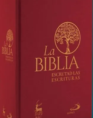 .La Biblia Escrutad las escrituras(tela)