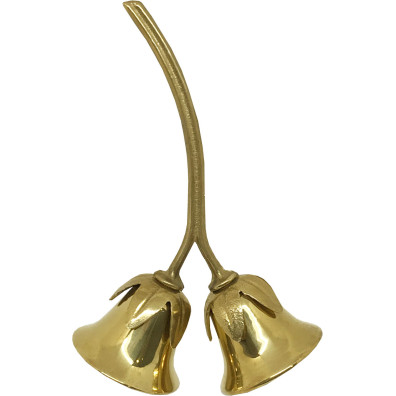 Campañilla Bronce